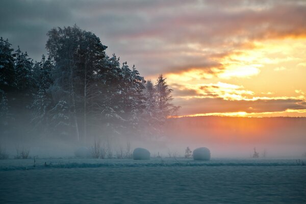 Bel hiver du Nord en Suède