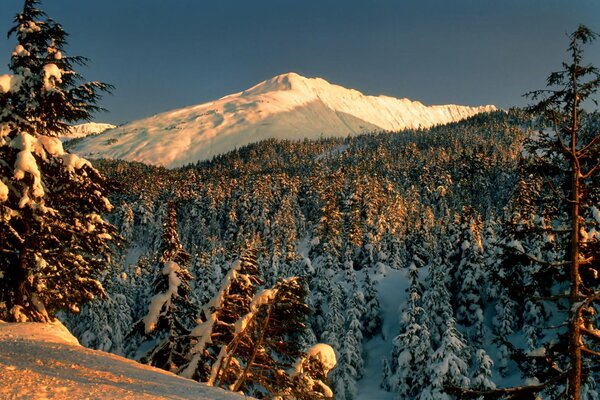 Paysage d hiver avec vue sur la forêt et la montagne
