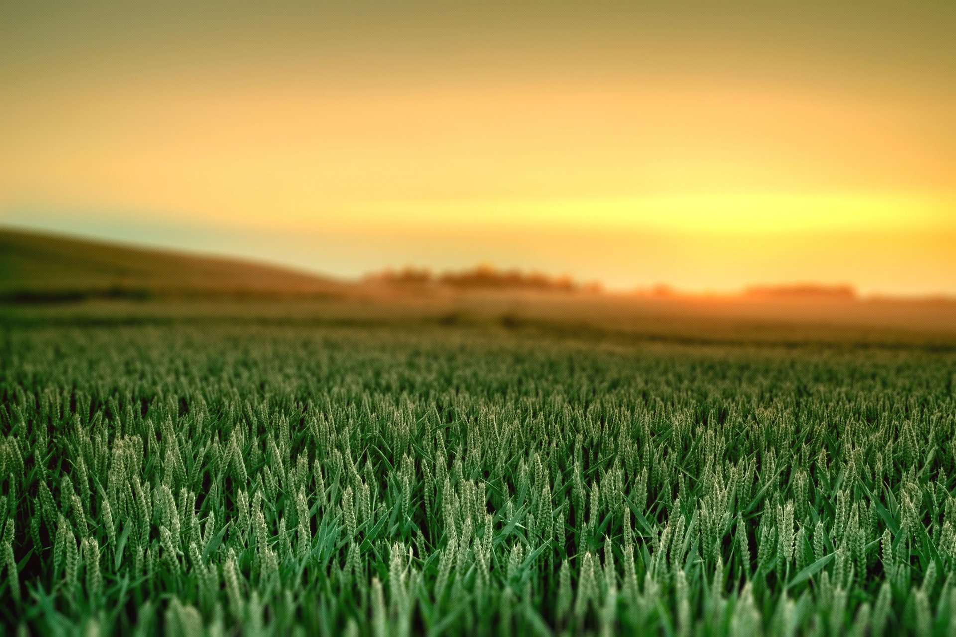 paysage nature aube herbe peintures ciel couleurs