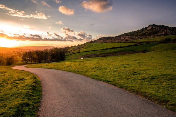 Route de paysage tranquille au soleil