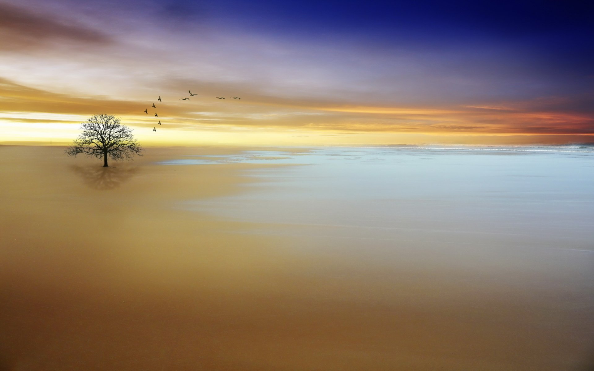 paysage fond style