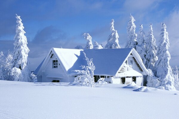 Paysage de la nature hivernale