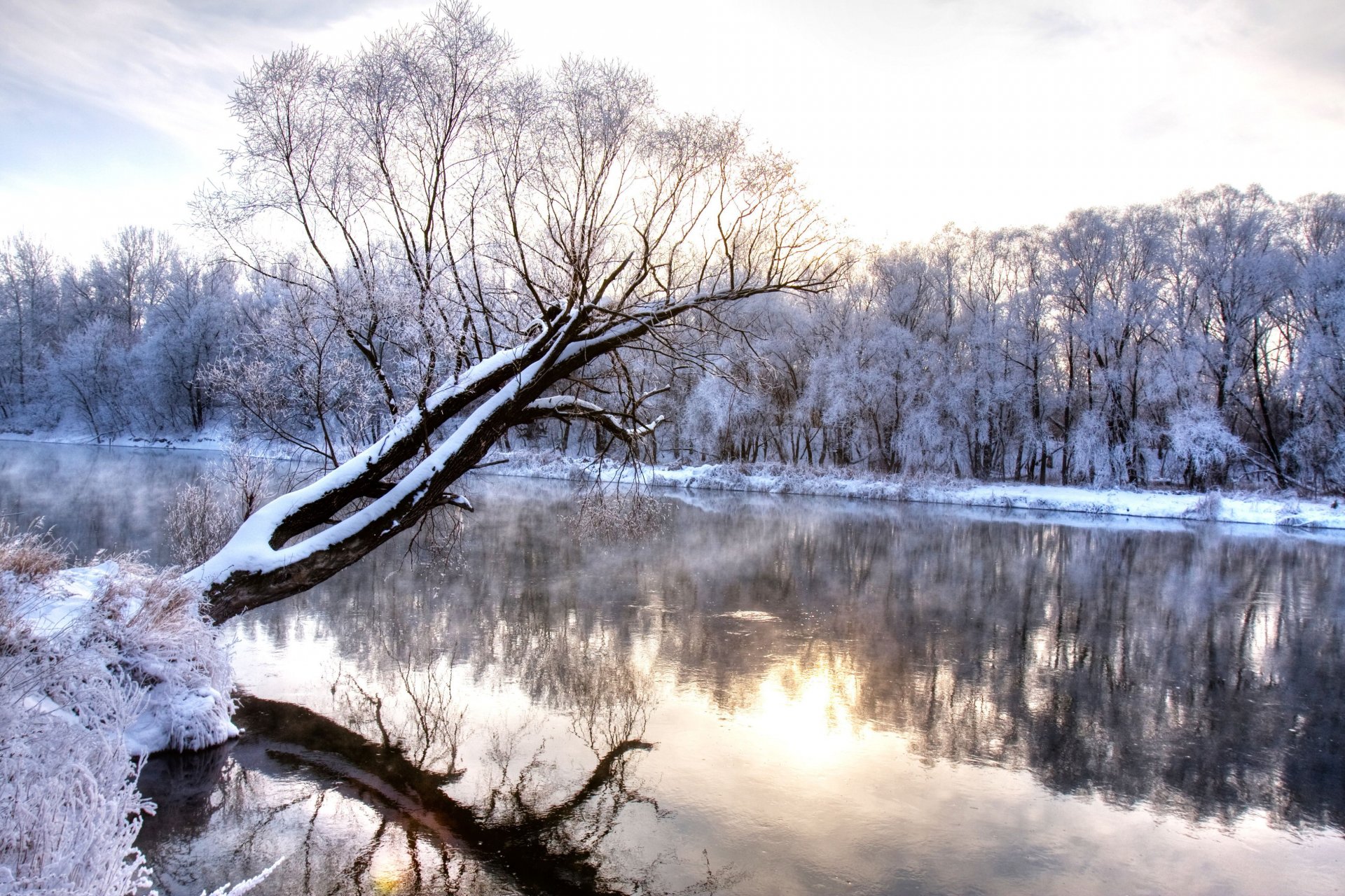 rivière d hiver branche forêt gelée paysage de la nature saison froide merveilles hiver froid givre enneigé arbres rivière nature paysage réflexion