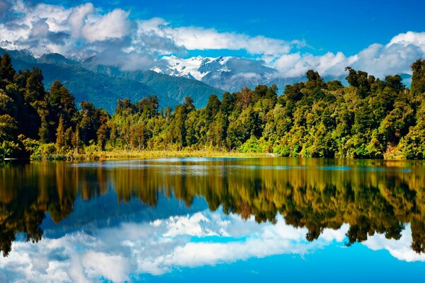 Forêt du lac et montagnes en Nouvelle-Zélande