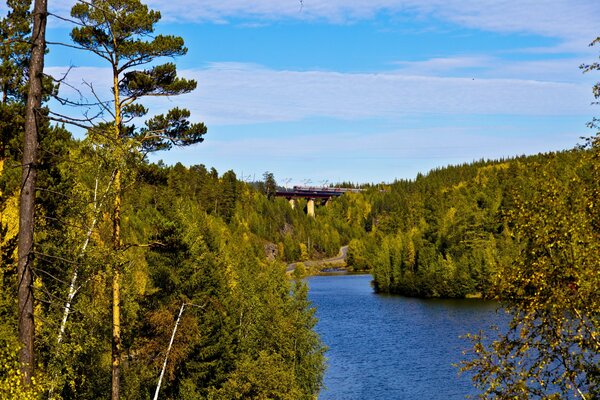 Rivière le long de la forêt, donnant sur le chemin de fer