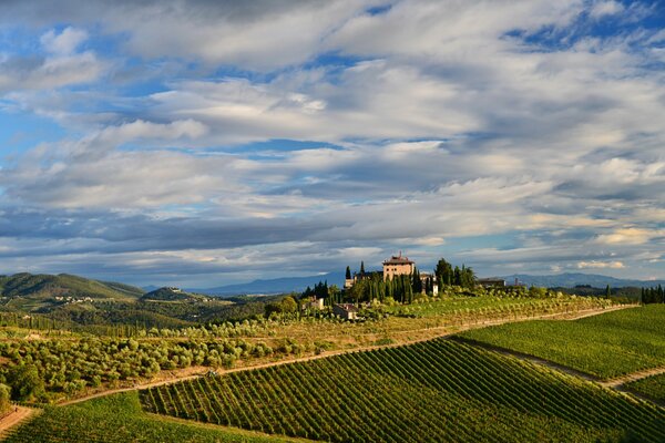 Vignoble en Italie sur fond de ciel nuageux