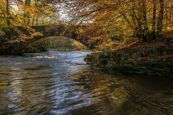 Pont sur la rivière à l automne