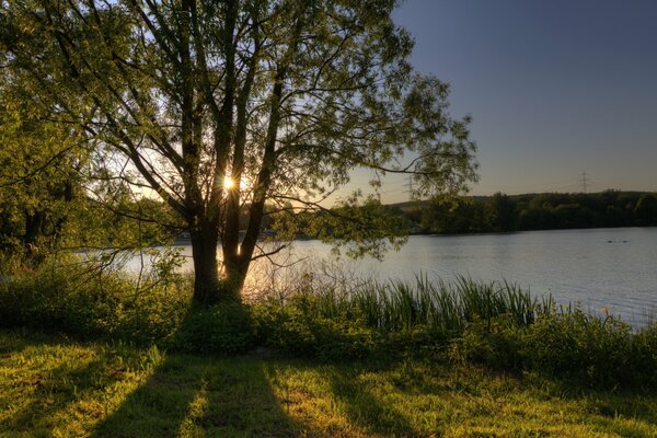 Aube sur le lac avec les rayons lumineux du soleil