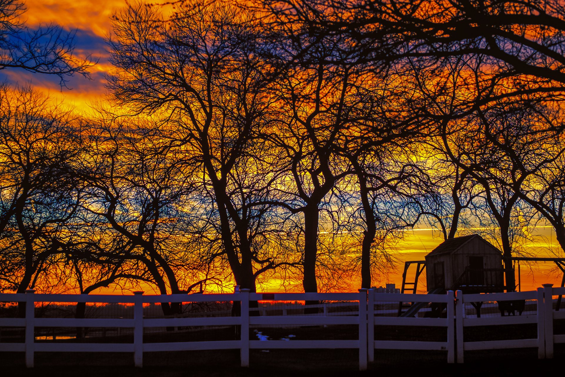 clôture arbres coucher de soleil