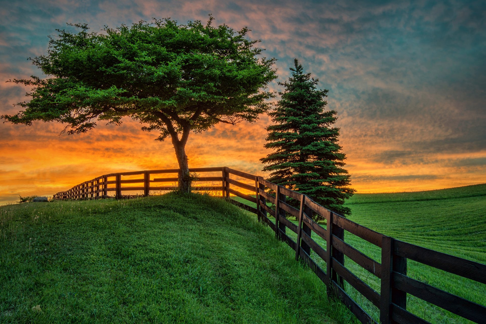 coucher de soleil champ arbre clôture paysage été