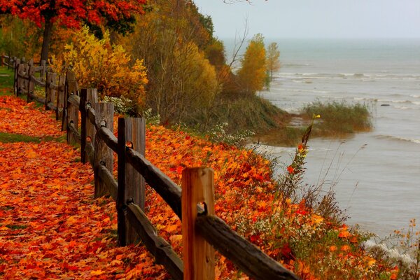 Tristesse d automne sur la rive rouge derrière la clôture