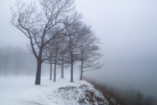 Hiver avec brouillard et neige