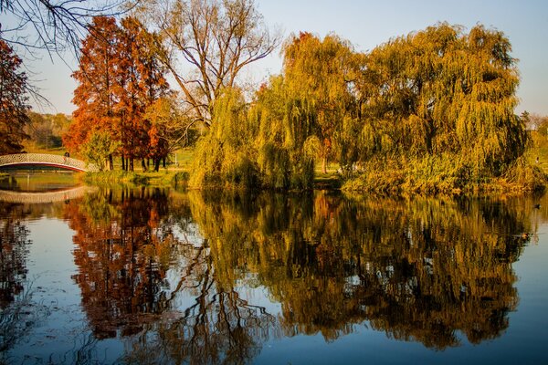 Parc d automne près de l étang